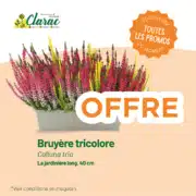 Catalogue Toussaint – Nos offres d’automne