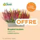 Catalogue Toussaint – Nos offres d’automne