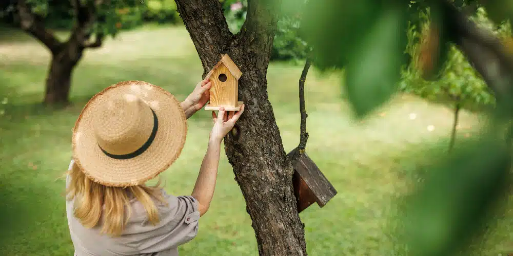 Nichoir oiseaux jardin Nichoir oiseaux jardin