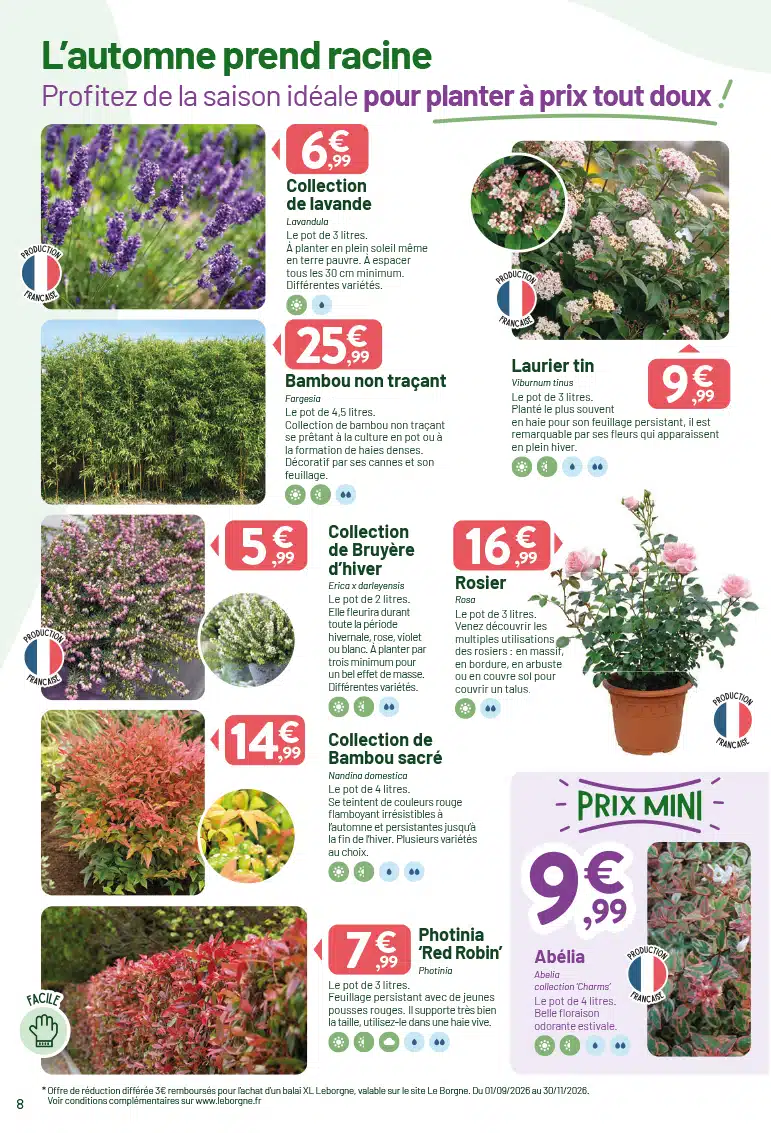 VV_CATALOGUE_12P_AUTOMNE_20260825_WEB-8
